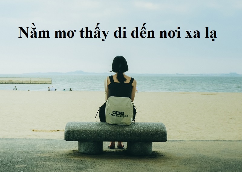 Giải mã giấc mơ thấy đến nơi xa lạ: Ý nghĩa tâm linh và tâm lý