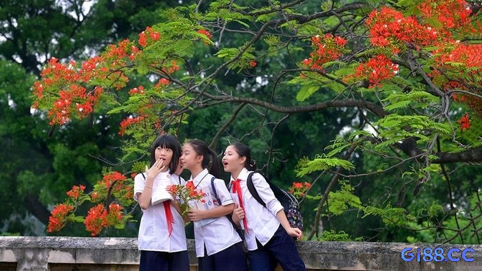 Lưu ý chi tiết khi áp dụng mơ thấy mình đi học đánh con gì cho anh em