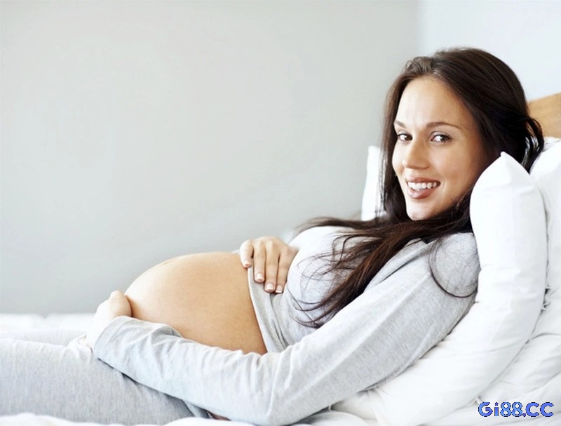 Giấc mơ về động vật xuất hiện ở khoảng 45% bà bầu